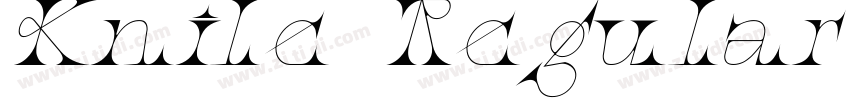 Knile Regular Itali字体转换